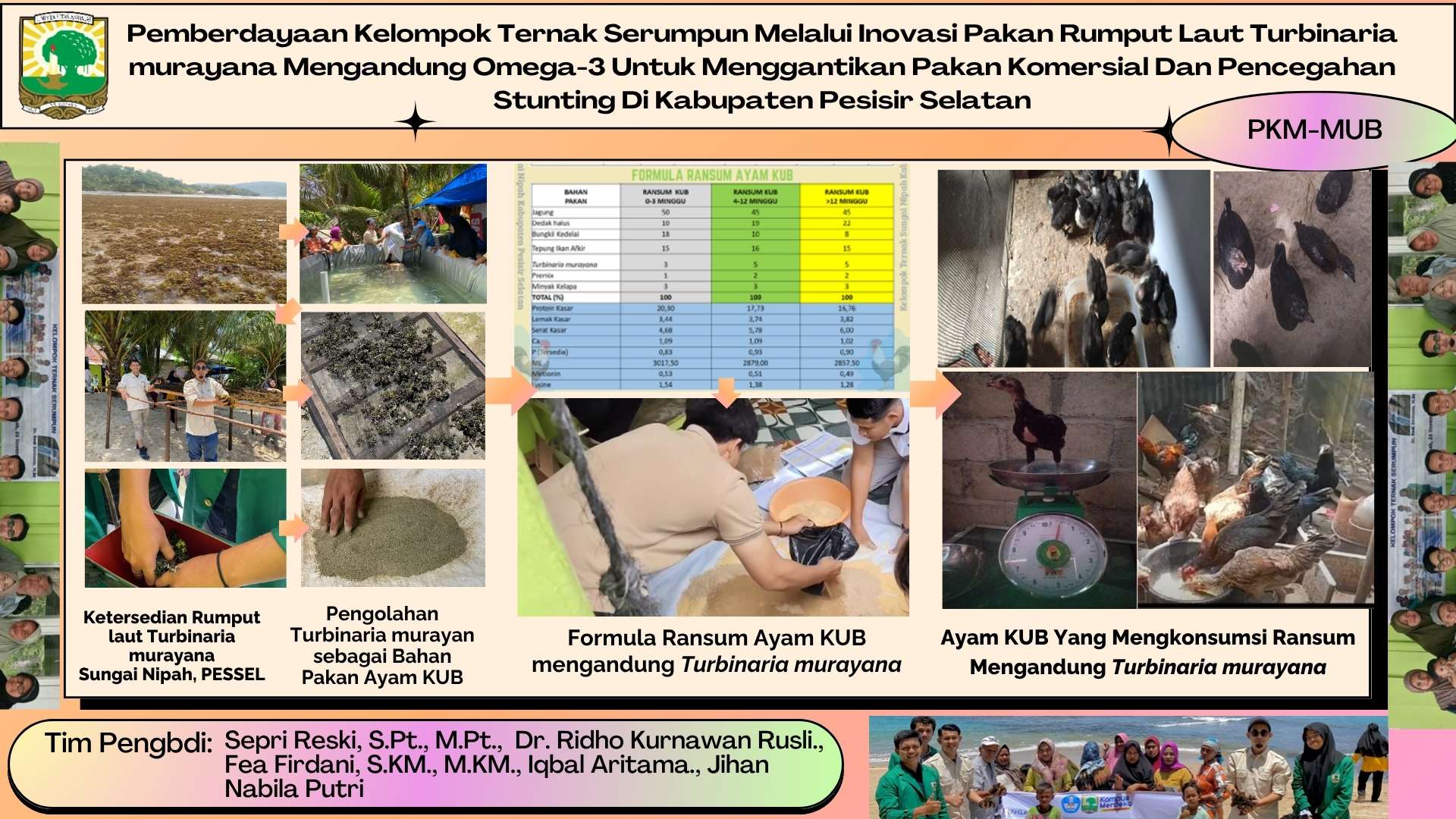Pemberdayaan Kelompok Ternak Serumpun Melalui Inovasi Pakan Rumput Laut Turbinaria murayana Mengandung Omega-3 Untuk Menggantikan Pakan Komersial Dan Pencegahan Stunting Di Kabupaten Pesisir Selatan